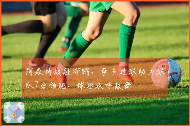 阿森纳战胜海鸥，萨卡进球助力球队7分领跑，球迷欢呼鼓舞